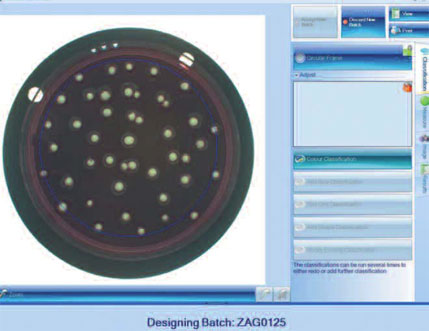 Colony Counting Software
